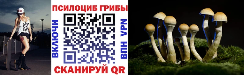 купить  сайты  Чехов  Псилоцибиновые грибы мухоморы 